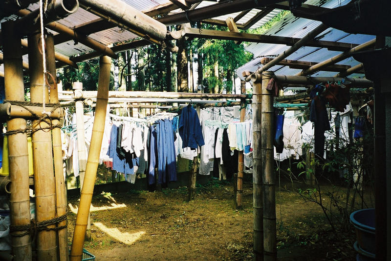 Drying-shed