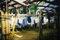 Drying-shed