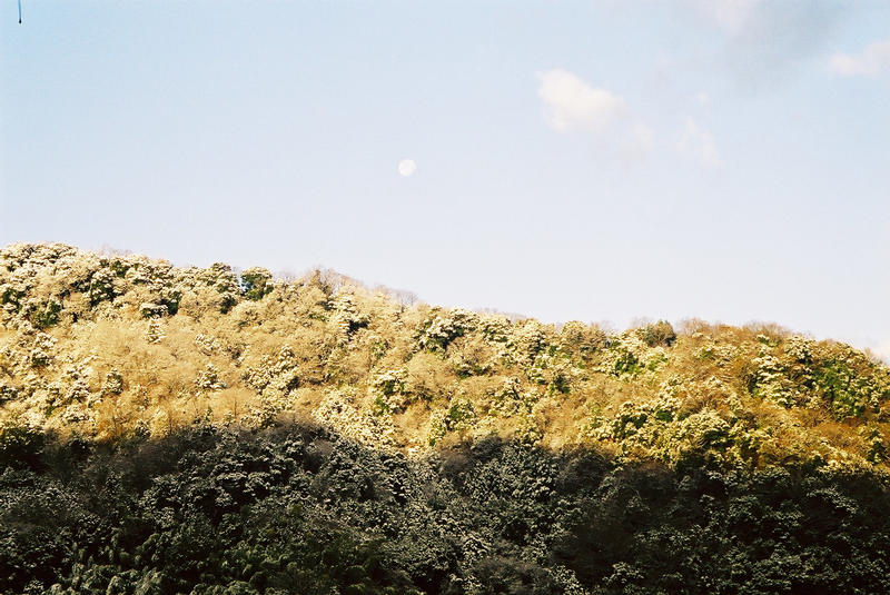 Moon over Bukkokuji