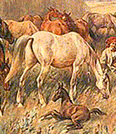 Schronisko dla koni - Tara