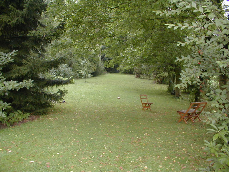 Garden in Meister Eckhard Hause