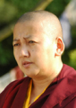 J.E. Dzietsyn Khandro Rinpocze